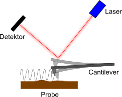 AFM-Prinzip