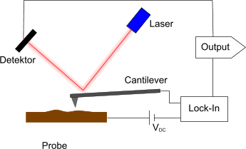 SSRM